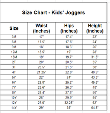 Load image into Gallery viewer, Daisy Check Basic Joggers And Jogger Shorts