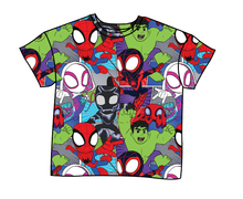 Load image into Gallery viewer, Go Webs Go Oversized Tee