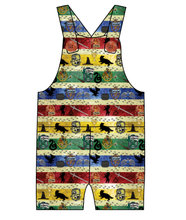 Load image into Gallery viewer, House Stripes Overalls and Shortalls