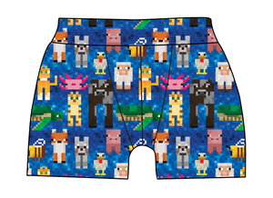 Block Friends Mens' Boxer Briefs