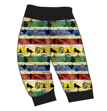Load image into Gallery viewer, House Stripes Ladies&#39; Joggers and Jogger Shorts