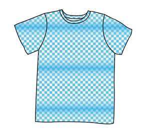 Blue Check Basic Tee and Tank