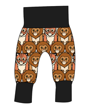 Load image into Gallery viewer, Lions and Tigers Grow With Me Pants And Shorts