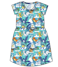 Load image into Gallery viewer, Poke Fun In The Snow Ladies' Play Dress