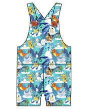 Load image into Gallery viewer, Poke Fun in the Snow Overalls and Shortalls