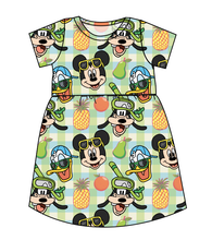 Load image into Gallery viewer, Rad Picnic Pals Play Dress