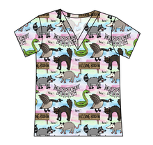 Load image into Gallery viewer, Hissing Booth Ladies' Slouchy V-Neck Tee