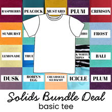 Load image into Gallery viewer, 4 Piece Solids Bundle Deal Basic Tee and Tank