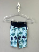 Load image into Gallery viewer, RTS Sea Turtles Jogger Shorts