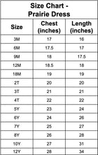 Load image into Gallery viewer, Meow Stripes Prairie Dress