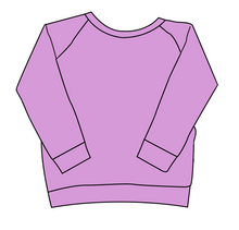 Load image into Gallery viewer, Solids Sale Classic Hoodie (or Crewneck)