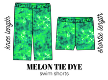 Load image into Gallery viewer, All Prints Preorder Swim Swim Shorts